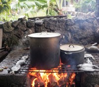 Tahitian Feast